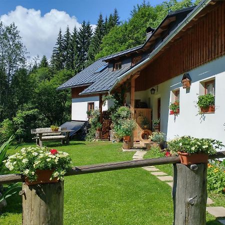 شقة Alm-House Hollmann Železná Ruda المظهر الخارجي الصورة